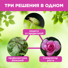 Зеленое мыло с пихтовым экстрактом БиоМастер 350 мл