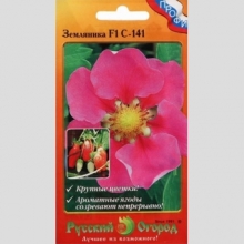 Земляника С-141 F1