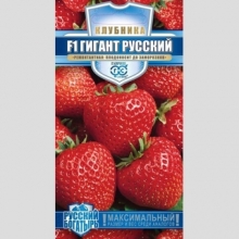 Земляника (Клубника) Гигант русский F1