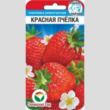 Земляника Красная пчелка