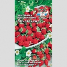 Земляника Лесная Сказка (мелкоплодная)