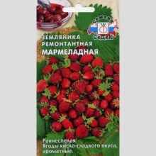 Земляника Мармеладная мелкоплодная ремонтантная