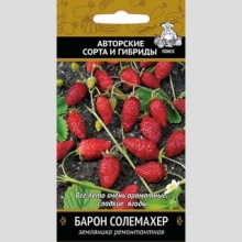 Земляника Барон Солемахер