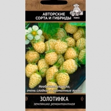 Земляника Золотинка