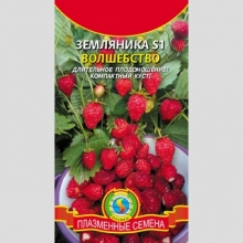 Земляника S1 Волшебство