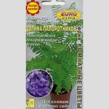 Жакаранда Долина папоротников (мимозолистная)