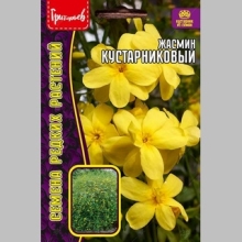 Жасмин Кустарниковый (большой пакет)