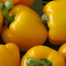 Перец Желтый Витамин