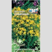 Зверобой Солнечный