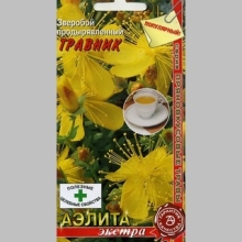 Зверобой Травник