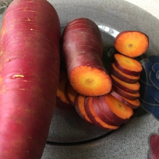 Морковь Чурчхела Красная