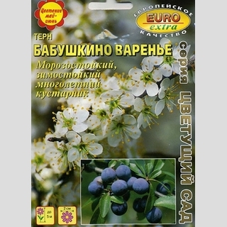 Тёрн Бабушкино варенье