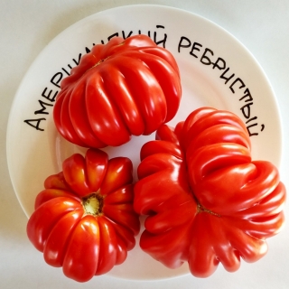 Томат Американский ребристый красный