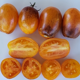 Томат Атомный Закат Солнца (Atomic Sunset)