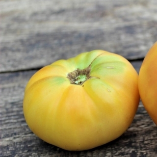 Томат Басинга (Basinga)