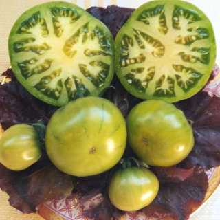 Томат Болото