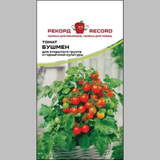 Томат Бушмен