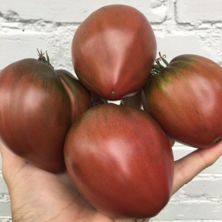 Томат Бычье сердце черное