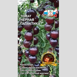 Томат Черная Галактика (ШокоЛандия)