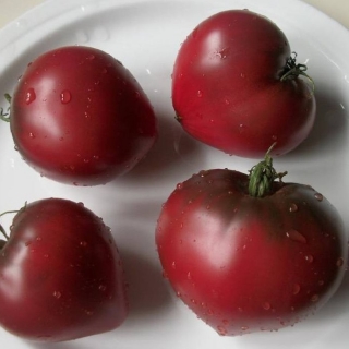 Томат Черная магия