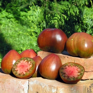 Томат Черное сердце Брэда (Brad's Black Heart)