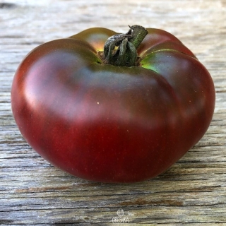 Томат Черноморец (Blak Sea Man)