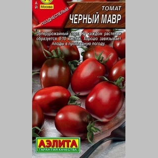 Томат Черный Мавр