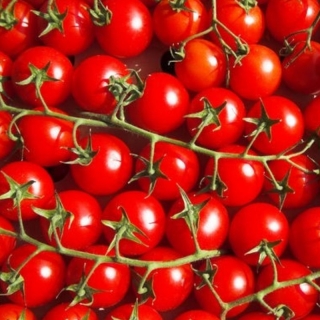 Томат Вишня красная