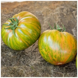 Томат Дикий тигр