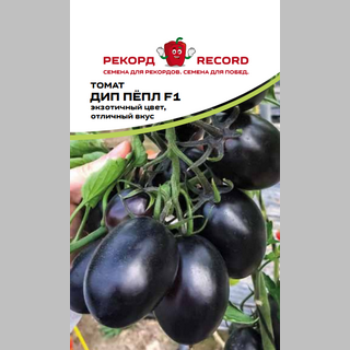 Томат Дип Пёрпл F1