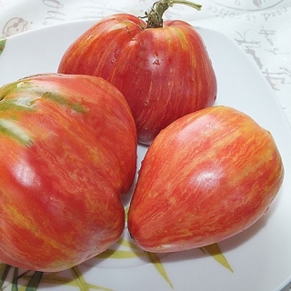 Томат Долговязая Салли (Long Tall Sally) (большой пакет)