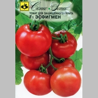 Томат Эсфигмен F1