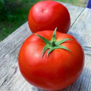 Томат Эсфигмен F1