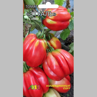 Томат Этуаль
