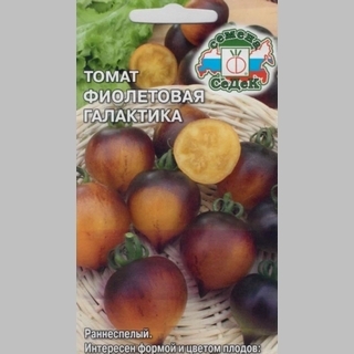 Томат Фиолетовая Галактика