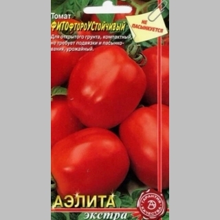 Томат ФИТОфтороУСтойчивый