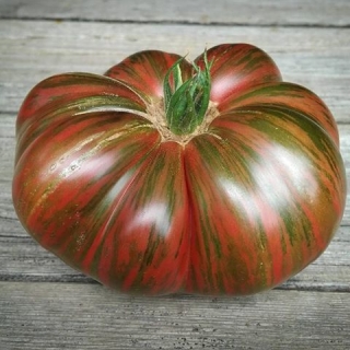 Томат Гном Фредс Тай Дай (Dwarf Fred’s Tie Dye)