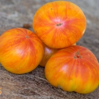 Томат Гном Конфетти (Dwarf Confetti)