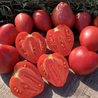 Томат Гном Розовая страсть (Dwarf Pink Passion)