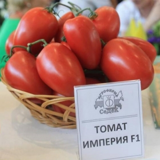 Томат Империя F1