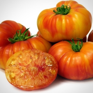 Томат Гигант Иерусалима (Jeruzalemes Gigant`s)