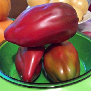 Томат Какаду Шоколадный