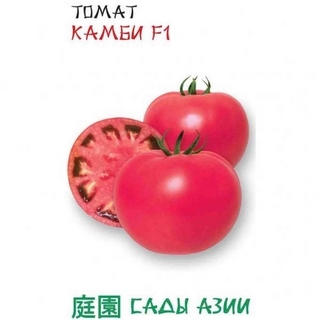 Томат Камби F1