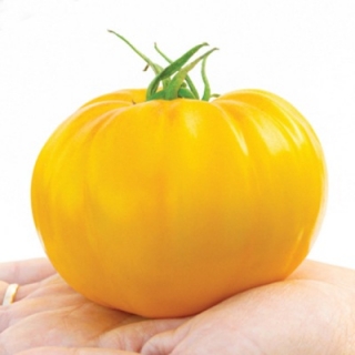 Томат Крем-Торт