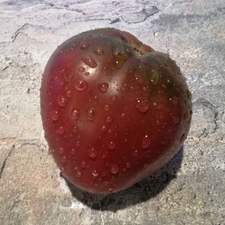 Томат Кубышка изумрудная