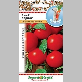 Томат Ледник F1 (Северные овощи)