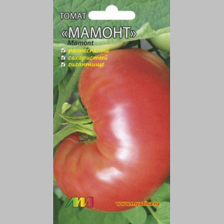 Томат Мамонт