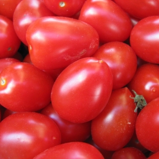 Томат Марочка