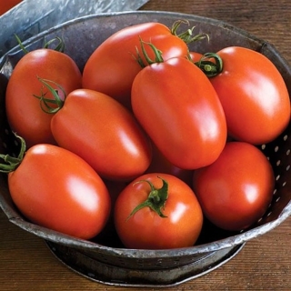 Томат Минусинская Сливка Низкая (большой пакет)