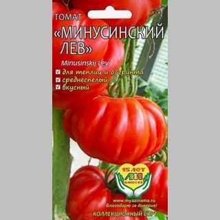 Томат Минусинский лев